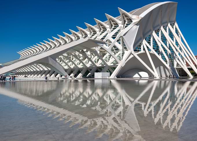 Spine Building