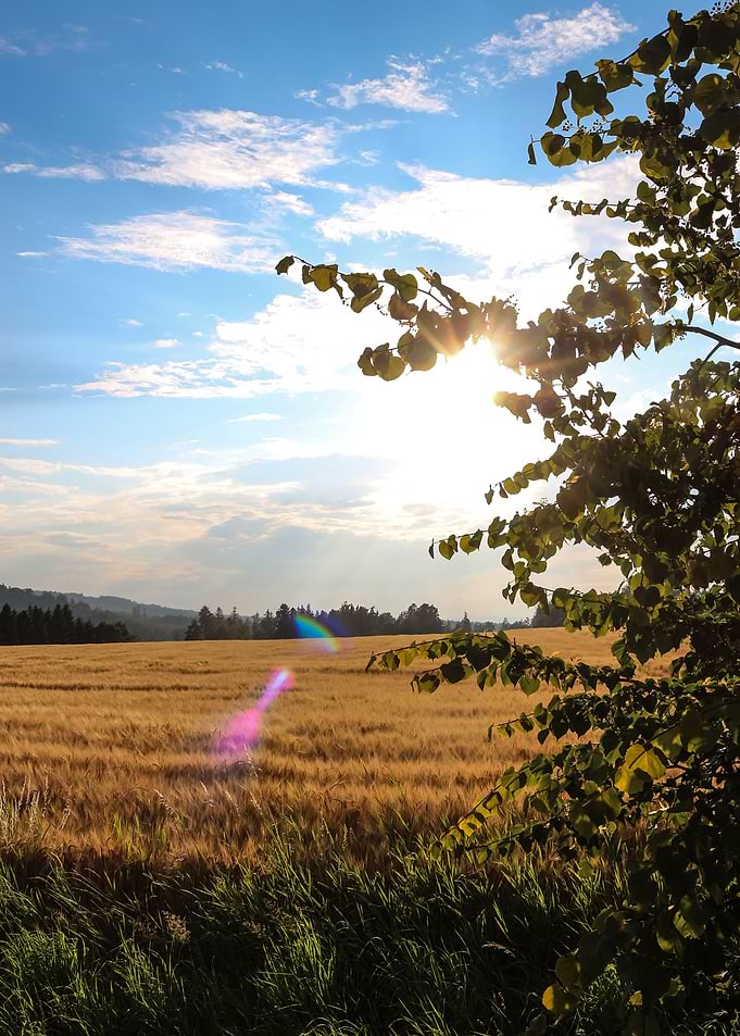 Late Summer