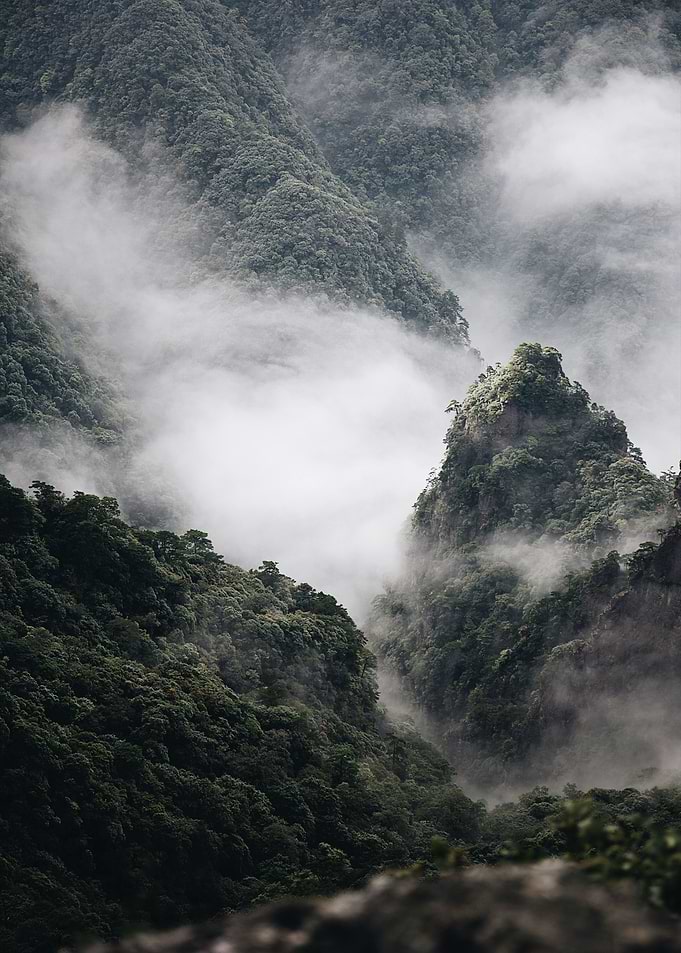Fog