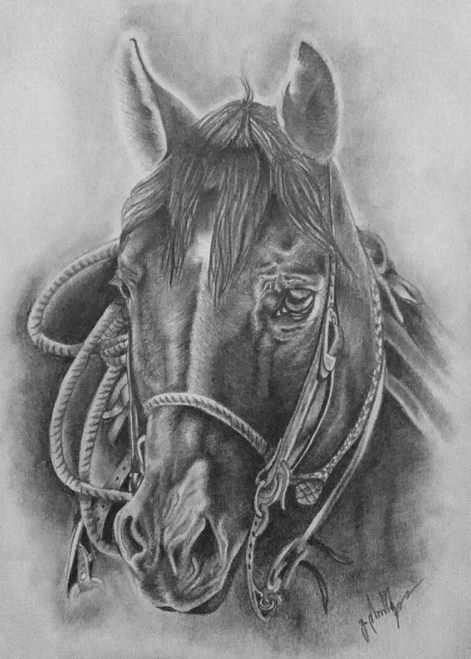Horse Drawing