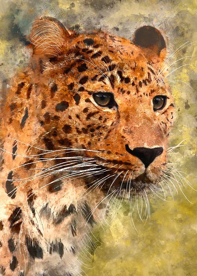 Leopard Digital Watercolor