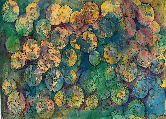 lillies from above