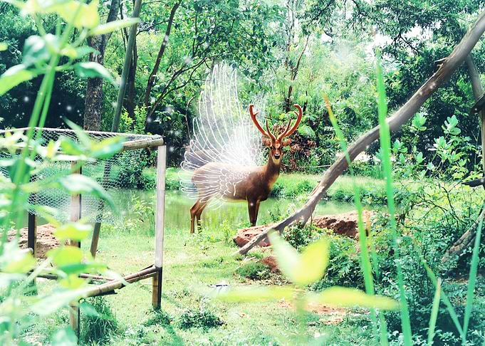 Heaven of Nature