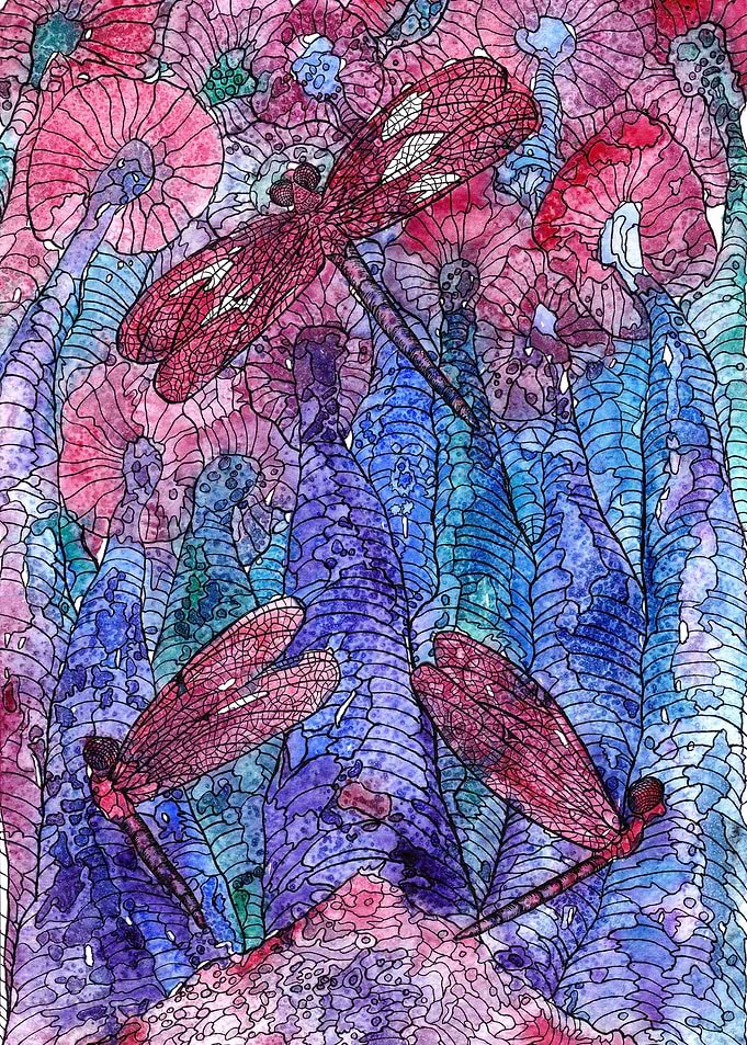 Metamorphosis 4