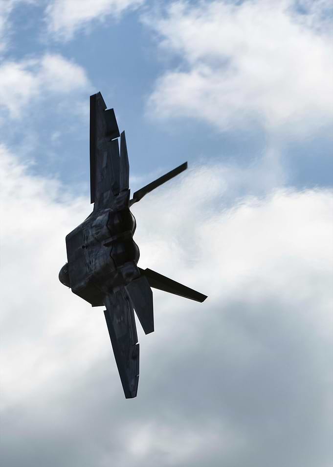 Raptor