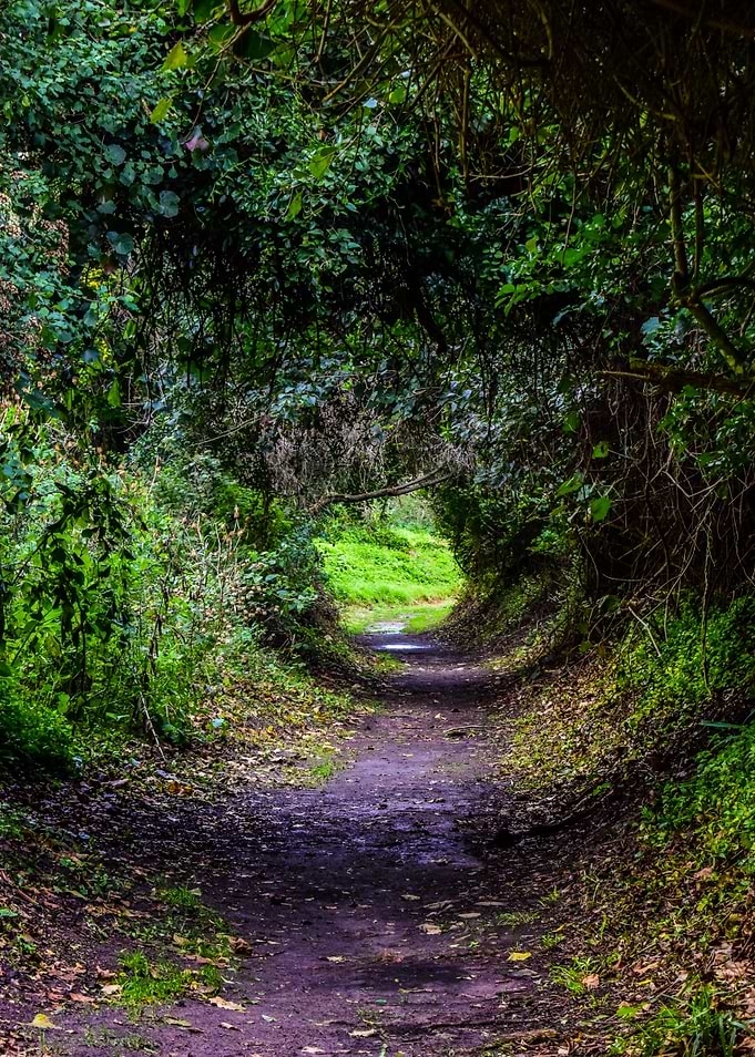 Natural Walkway