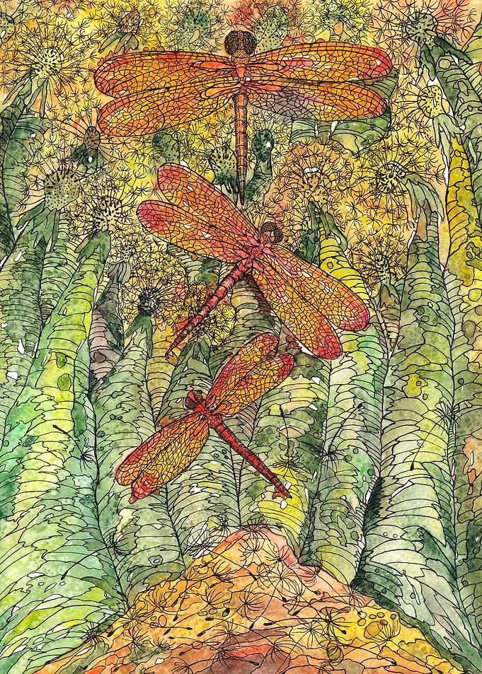 Metamorphosis 1