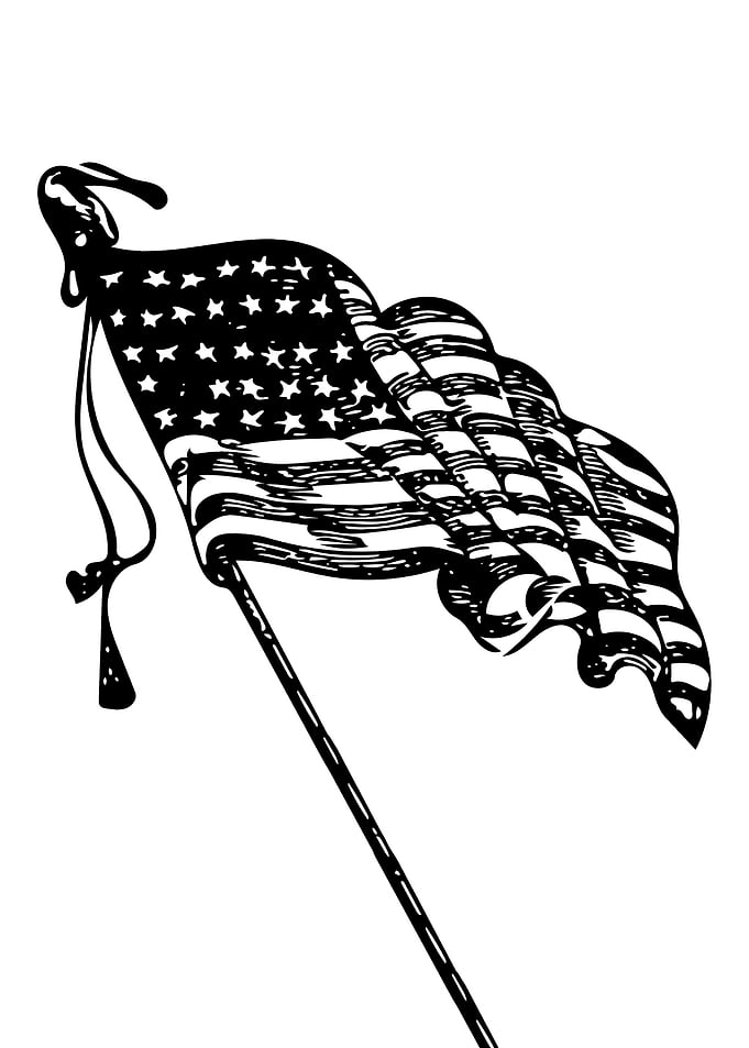 American Flag 1