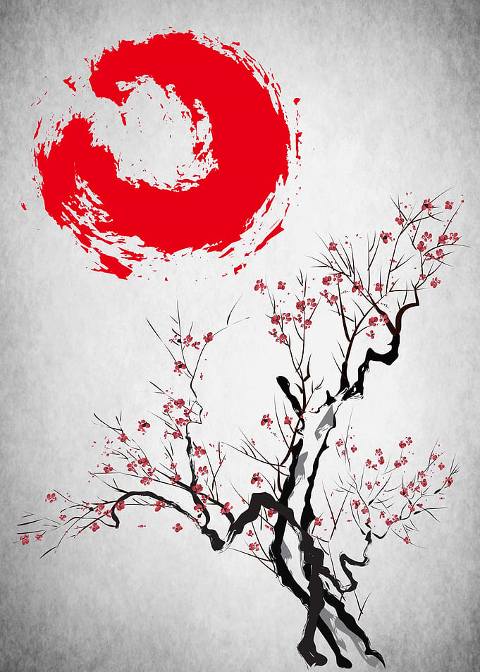 Cherry Blossom