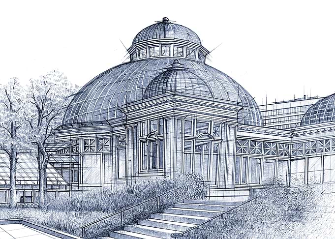 Hand Drawn Allan Gardens