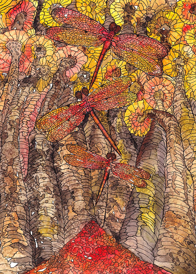 Metamorphosis 2