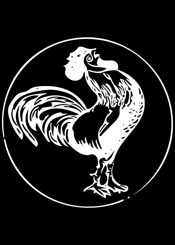 Rooster