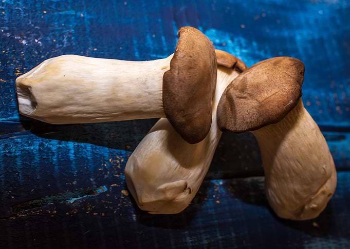 Mushroom still life