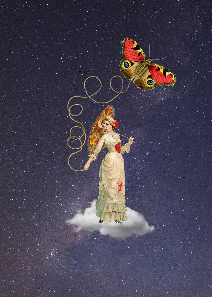 Butterfly Kite In Space