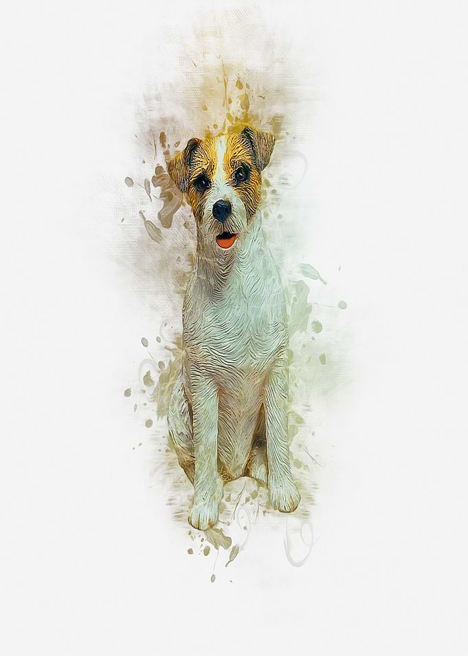 Jack Russell
