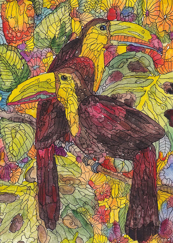 Resting toucans
