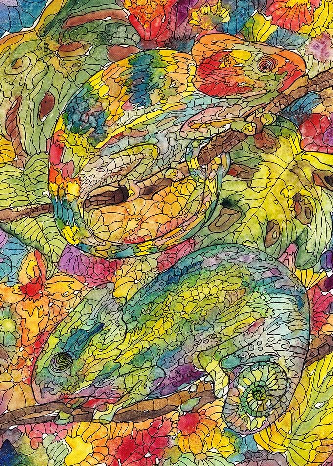 Bored chameleons