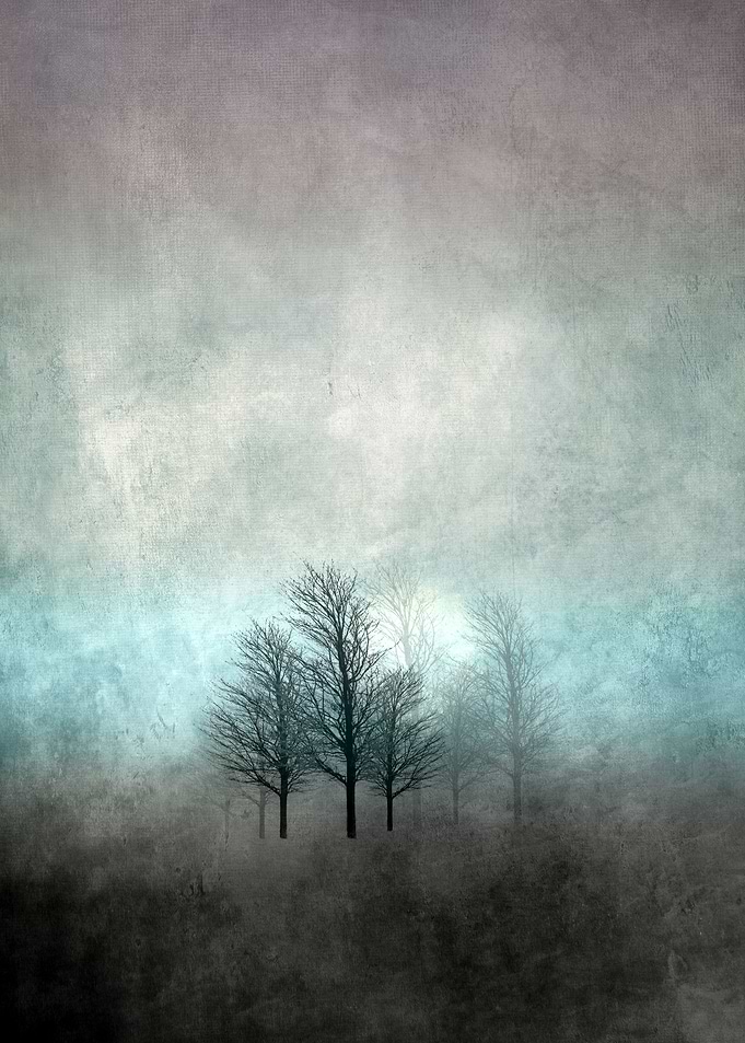NOVEMBER FOREST COLOR MOOD