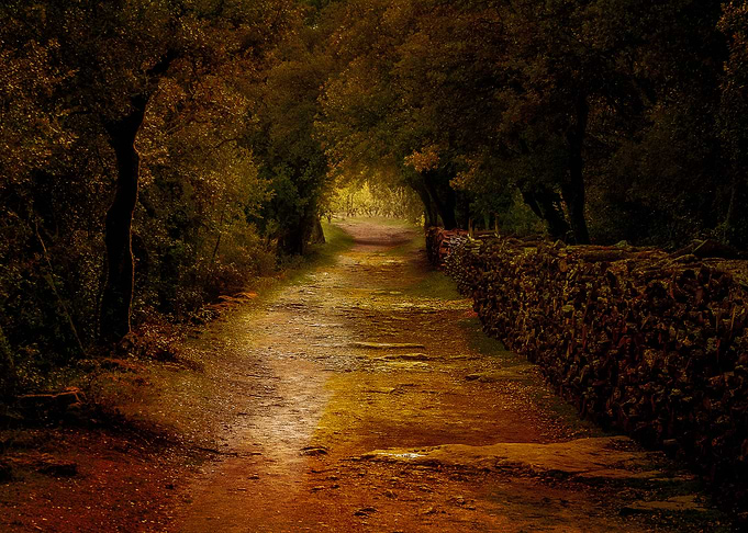 Path to wonderland
