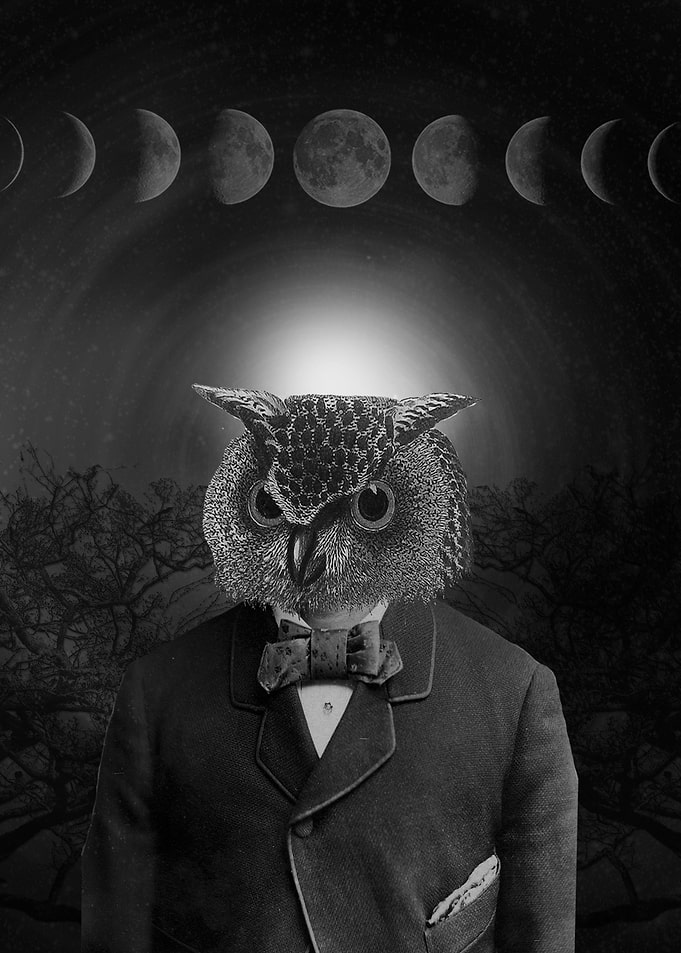 Nocturnal
