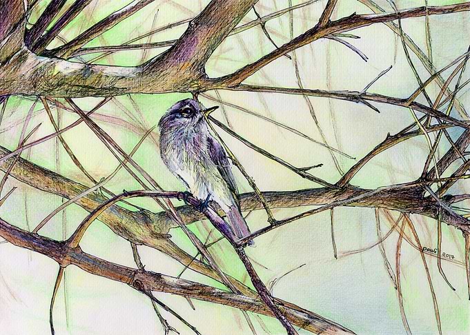 branch birdy