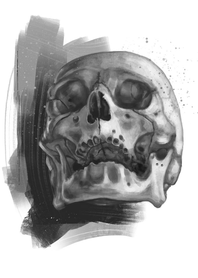 Skull