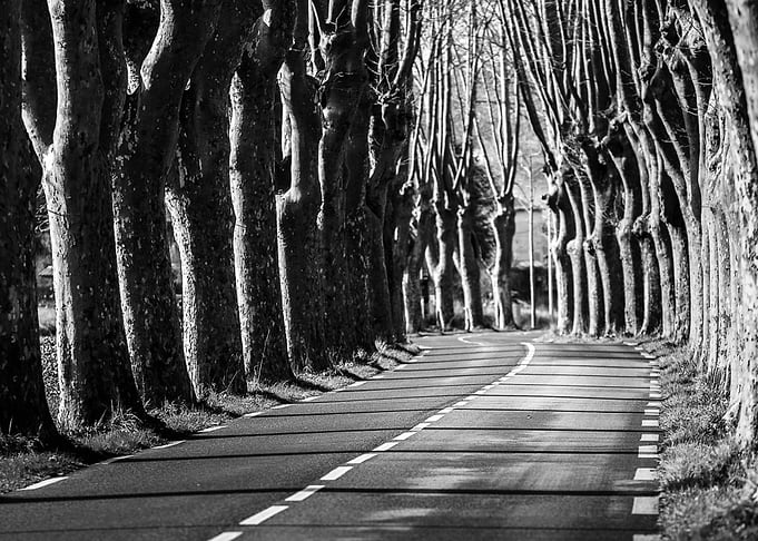 Roads of Provence