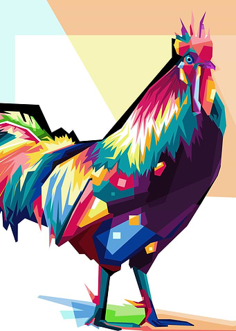 Chicken Cool WPAP