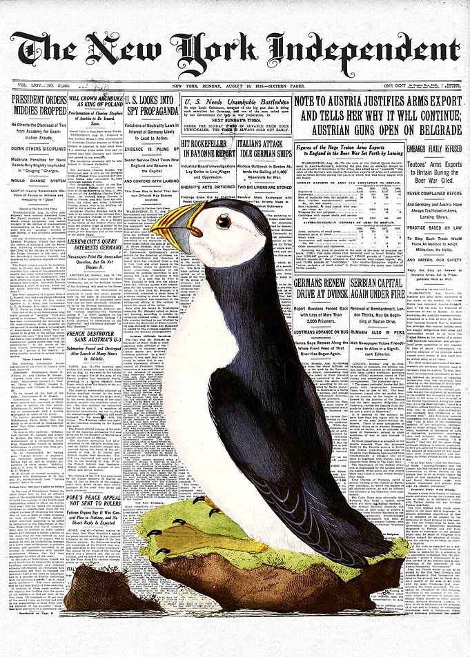 Puffin Auk Bird Newspaper
