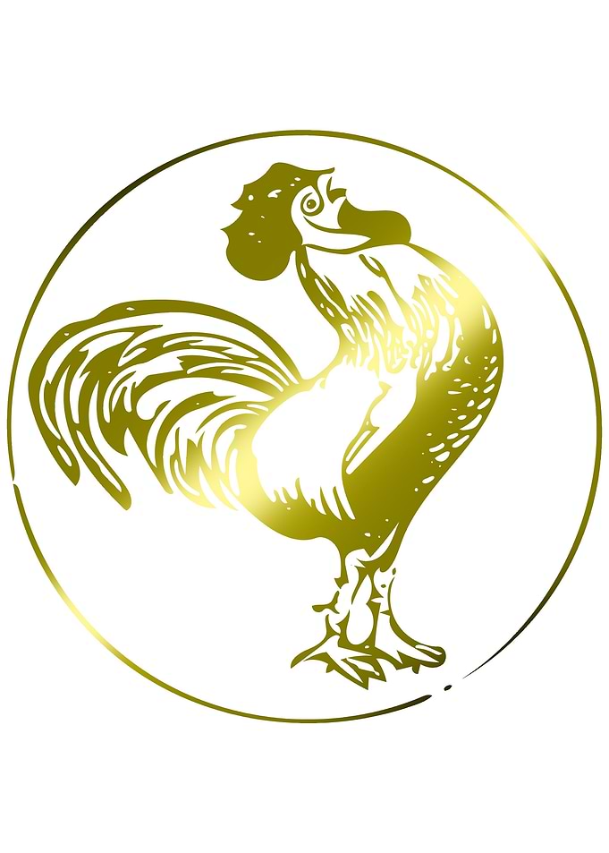 Rooster