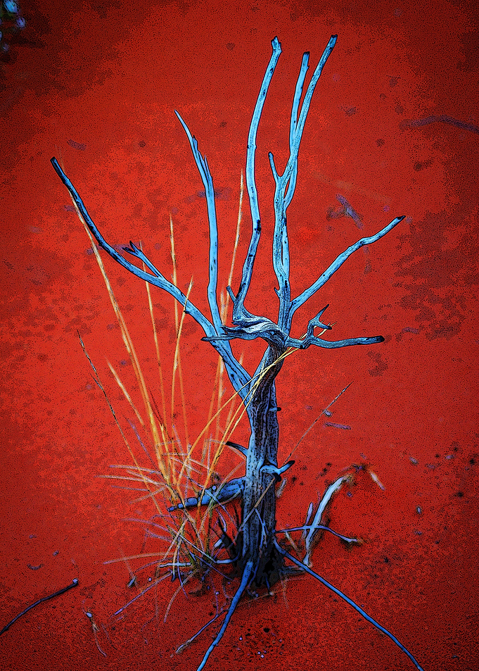 Desert Heart