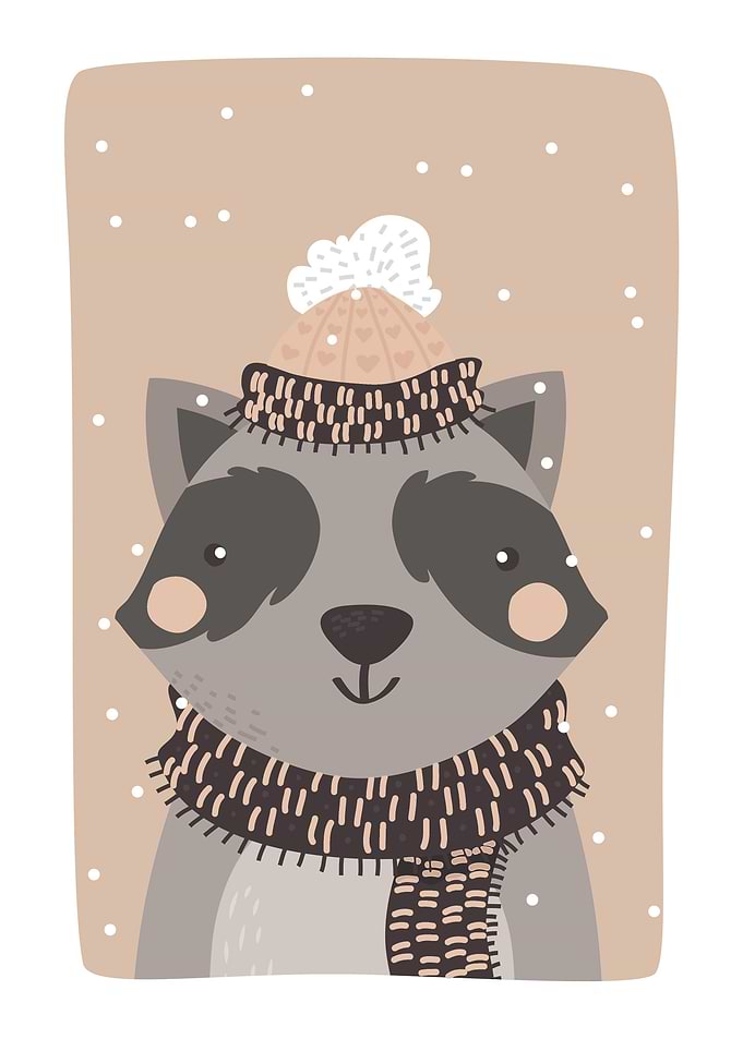 Oh raccoon