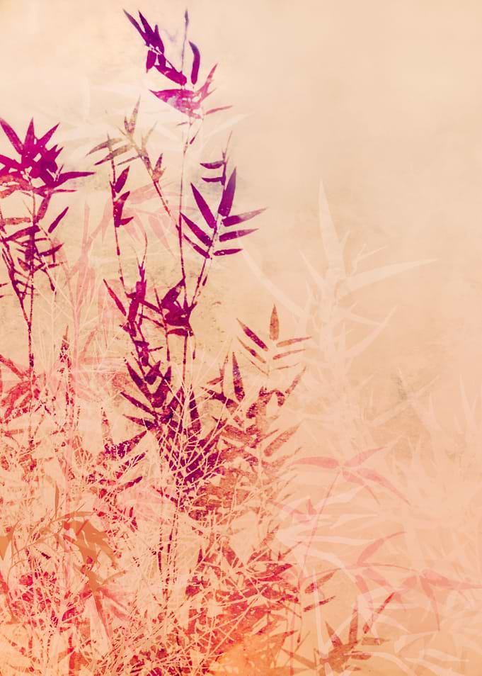 BAMBOO PART V2