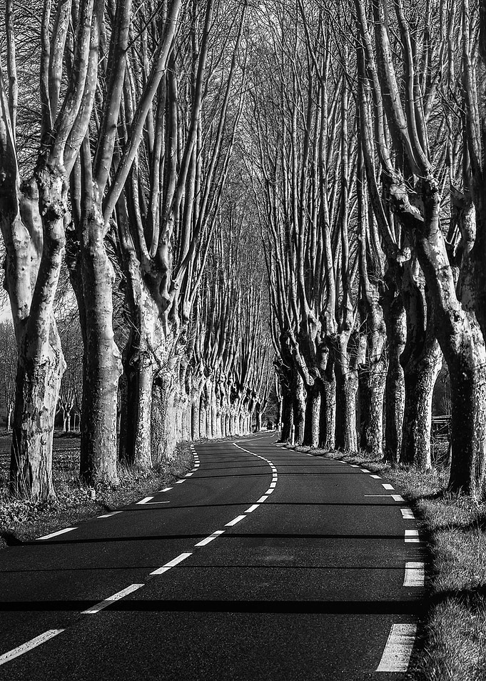 Roads of Provence