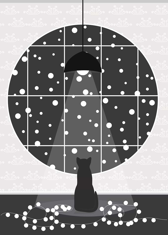 Snowfall Magic