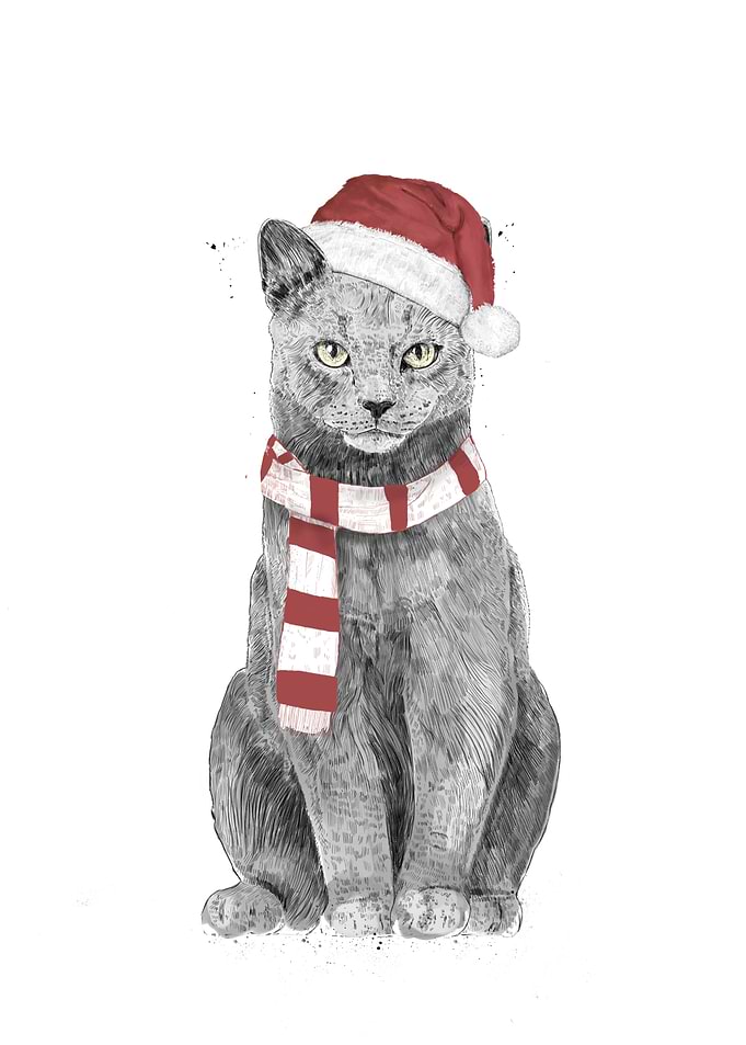 Xmas cat