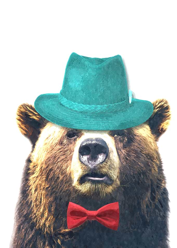 Funny Bear