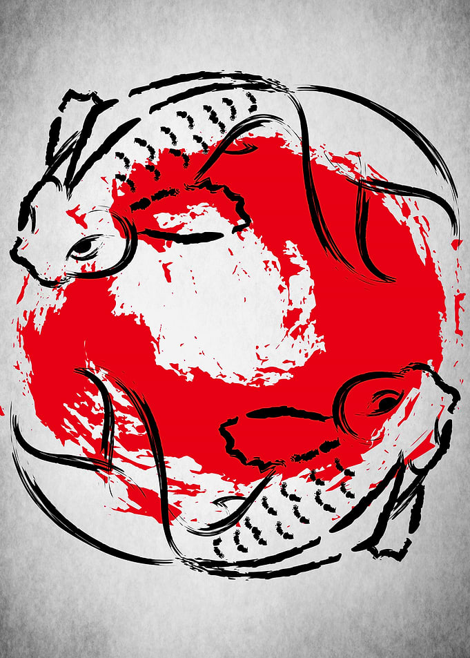 Koi