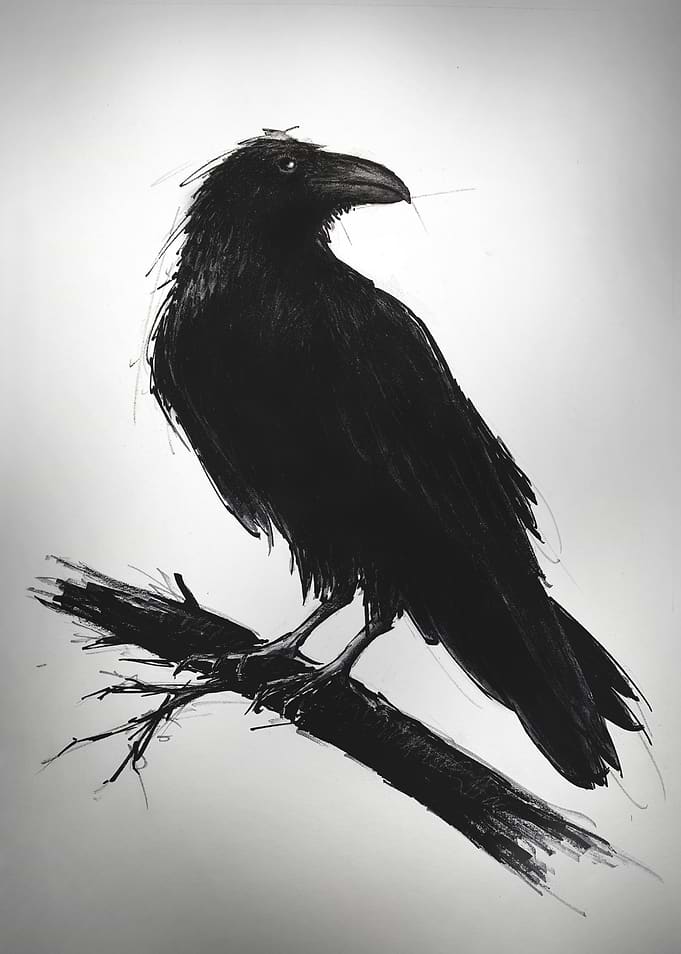 Raven