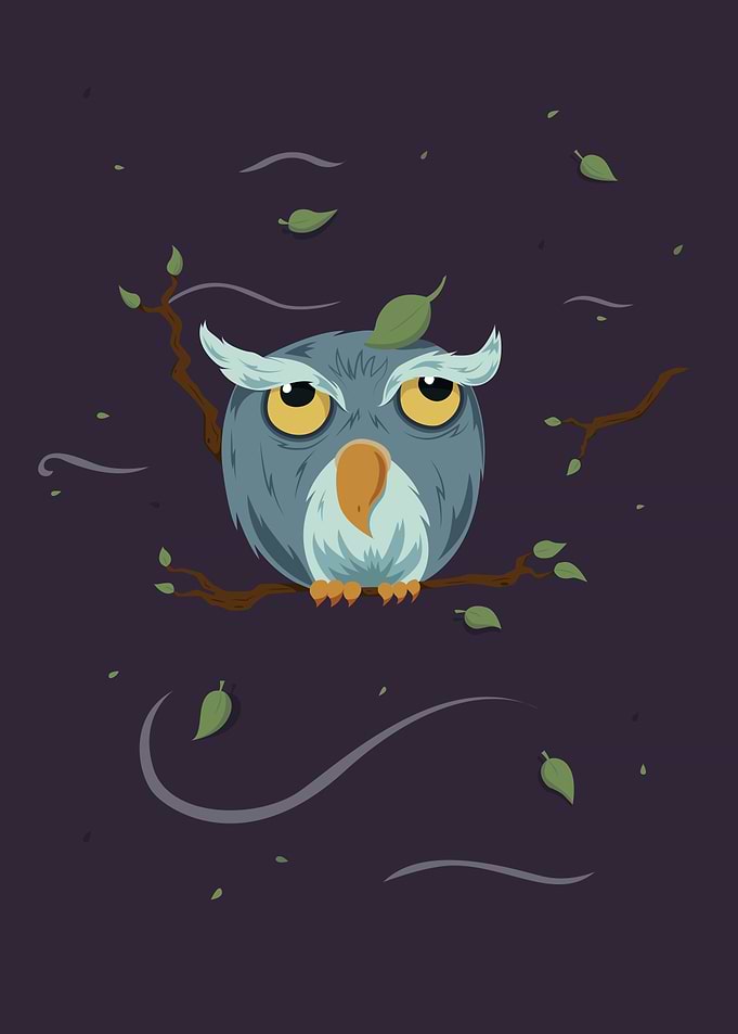 Night Owl