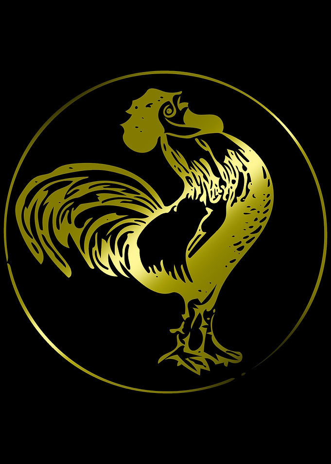 Rooster