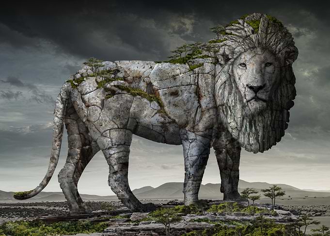 lion
