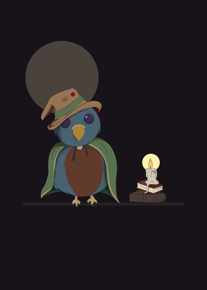 Wizard Bird
