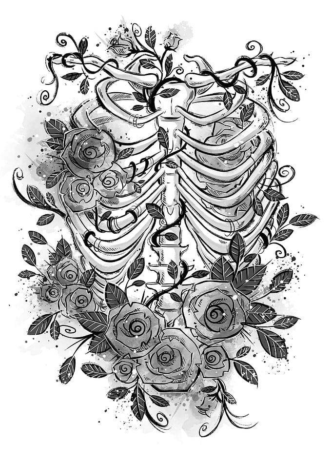 Romantic rib cage