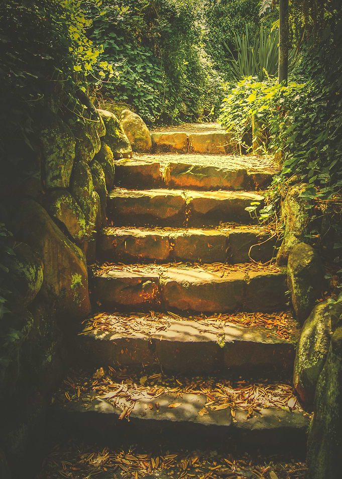 The Steps