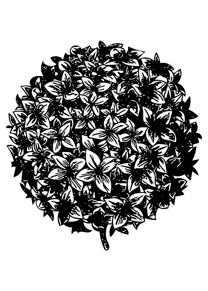 Flower Globe