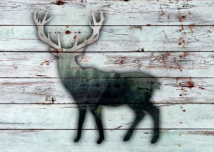 DEER on the wood