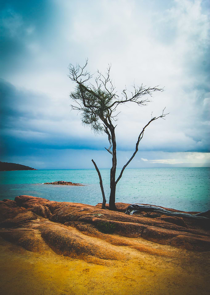 Alone in the Storm