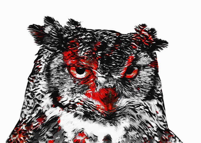Owl Red Black