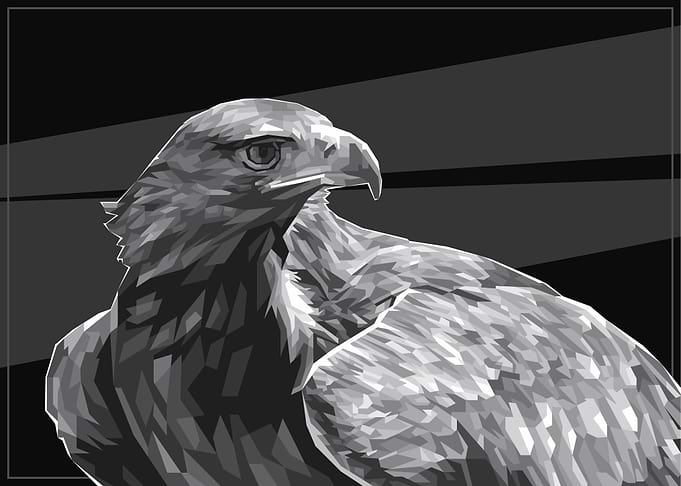 Golden Eagle